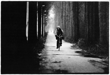 351130 Afbeelding van een fietser op de Zandlaan bij Bunnik, tussen Rhijnauwen en De Uithof.